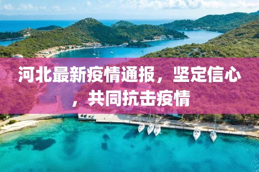 河北最新疫情通報，堅定信心，共同抗擊疫情