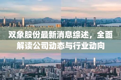 雙象股份最新消息綜述，全面解讀公司動態與行業動向