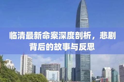 臨清最新命案深度剖析，悲劇背后的故事與反思