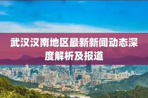 武漢漢南地區最新新聞動態深度解析及報道