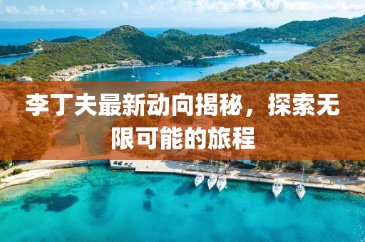 李丁夫最新動向揭秘，探索無限可能的旅程