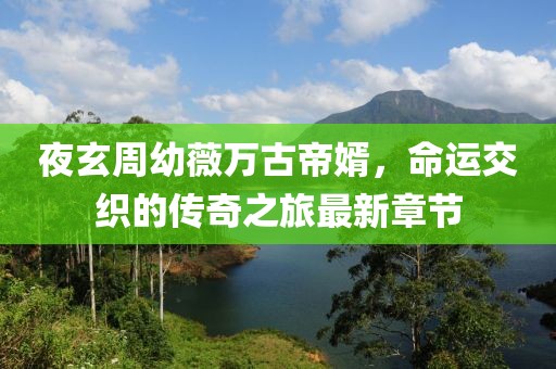 夜玄周幼薇萬古帝婿，命運交織的傳奇之旅最新章節