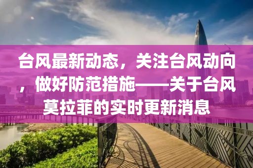 臺風最新動態，關注臺風動向，做好防范措施——關于臺風莫拉菲的實時更新消息