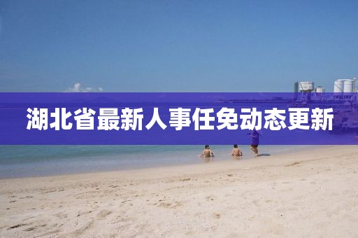 湖北省最新人事任免動態更新