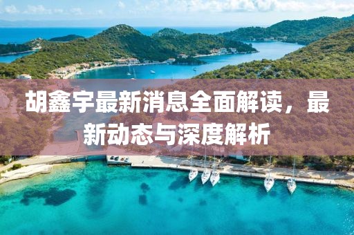 胡鑫宇最新消息全面解讀，最新動態與深度解析