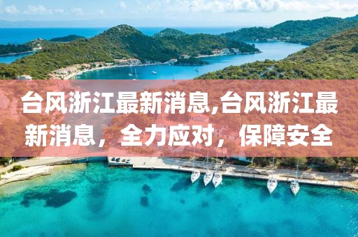 臺風浙江最新消息,臺風浙江最新消息，全力應對，保障安全