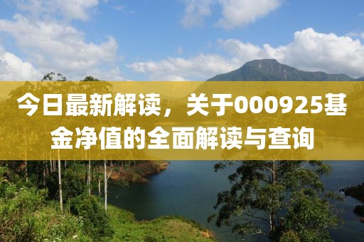 今日最新解讀，關(guān)于000925基金凈值的全面解讀與查詢