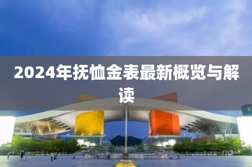 2024年撫恤金表最新概覽與解讀