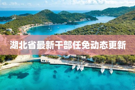 湖北省最新干部任免動態更新