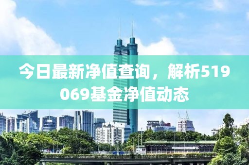 今日最新凈值查詢，解析519069基金凈值動態