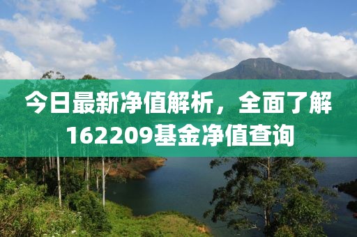 今日最新凈值解析，全面了解162209基金凈值查詢