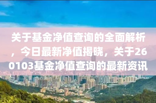 關于基金凈值查詢的全面解析，今日最新凈值揭曉，關于260103基金凈值查詢的最新資訊