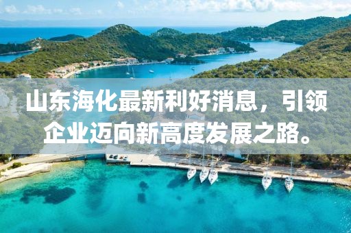 山東海化最新利好消息，引領(lǐng)企業(yè)邁向新高度發(fā)展之路。