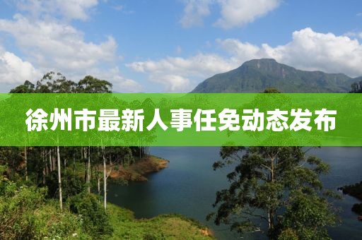 徐州市最新人事任免動態發布