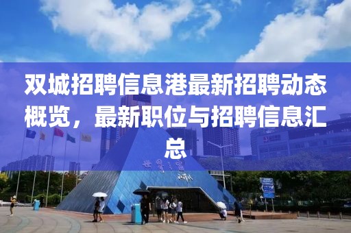 雙城招聘信息港最新招聘動態概覽，最新職位與招聘信息匯總